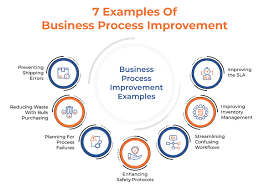 The Art of Business Process Improvement