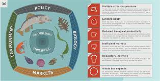Biotechnology and Sustainable Aquaculture