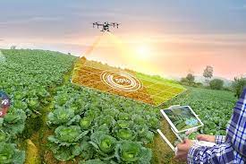 Tech in Agriculture: Innovations for a Hungry Planet