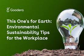 Strategies for Building Sustainable Workplaces